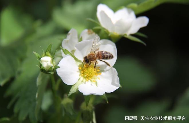 湖南道依茨动力取得可调向接头等专利兼顾接头朝向可调与密封性能